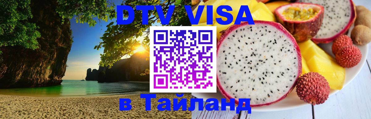 Сколько стоит DTV виза — актуальные цены, оформление даже без документов - Бийск 